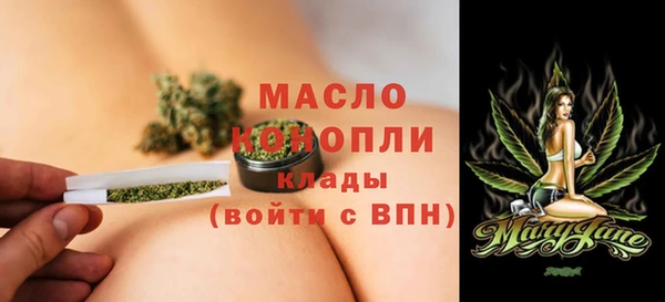 метадон Богданович