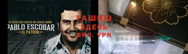 метадон Богданович