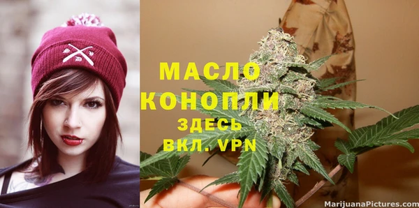 метадон Богданович
