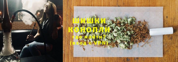 соль ск Белокуриха