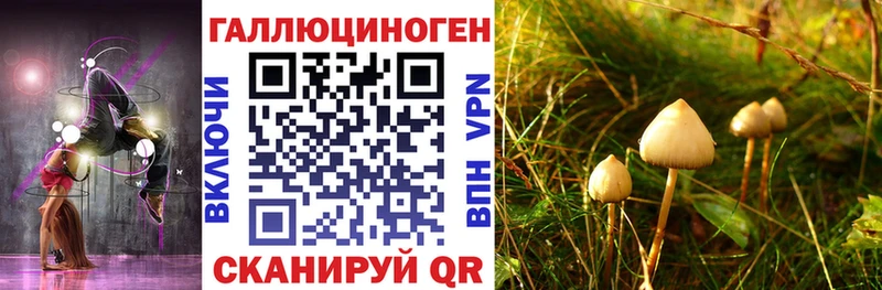 Псилоцибиновые грибы Cubensis  Новохопёрск 