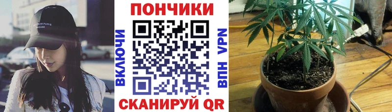 Шишки марихуана тримм Новохопёрск